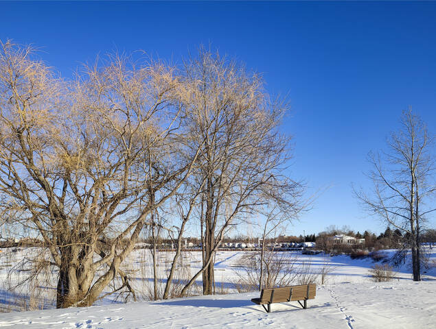 У лодочного клуба