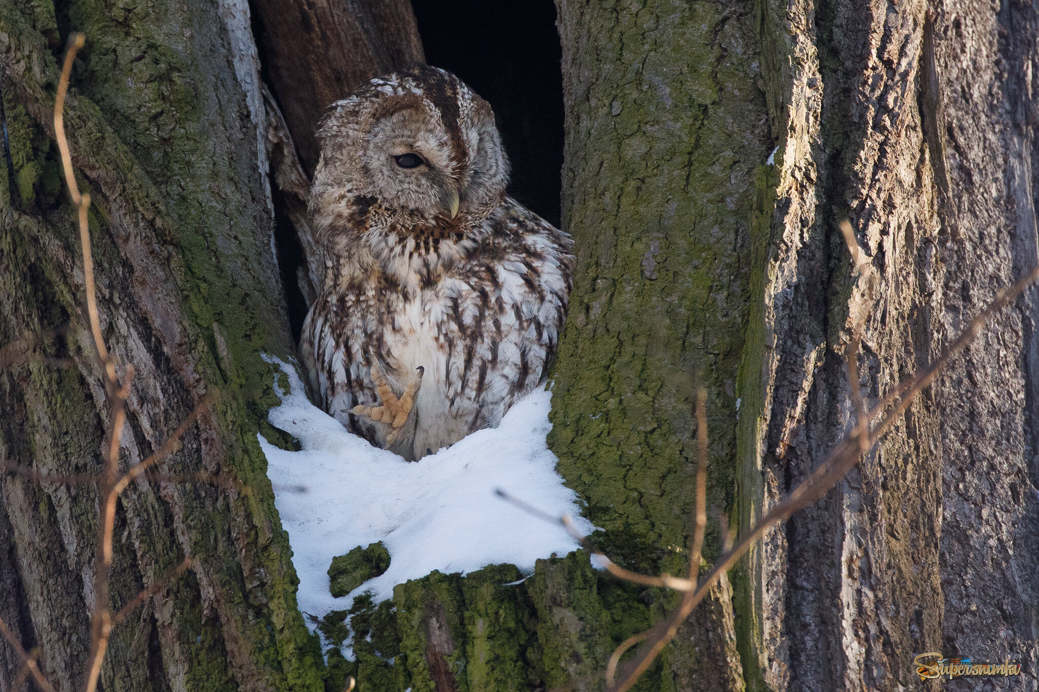 Телефонный разговор