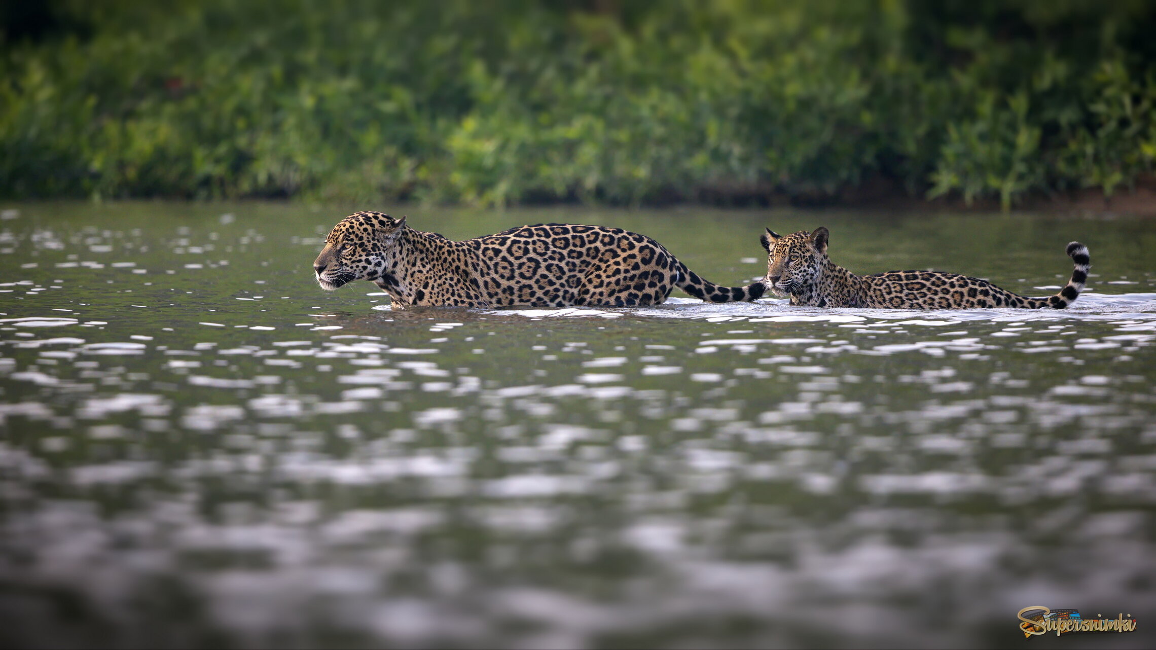 Не оставляя следов...