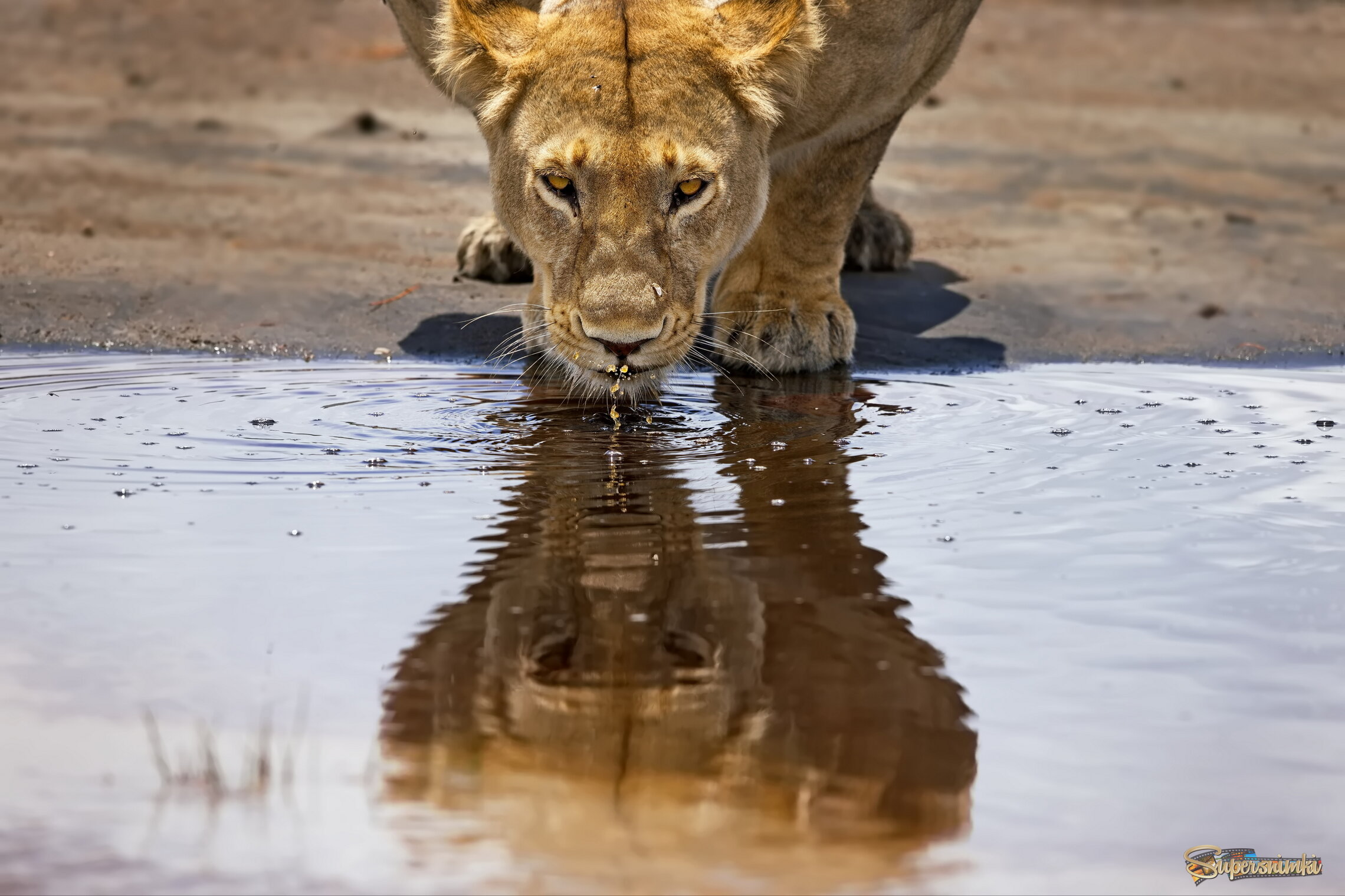 Попить и на себя взглянуть
