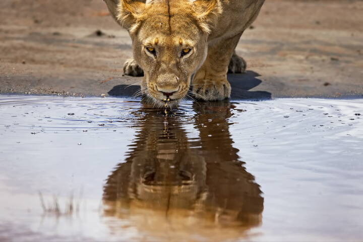Попить и на себя взглянуть