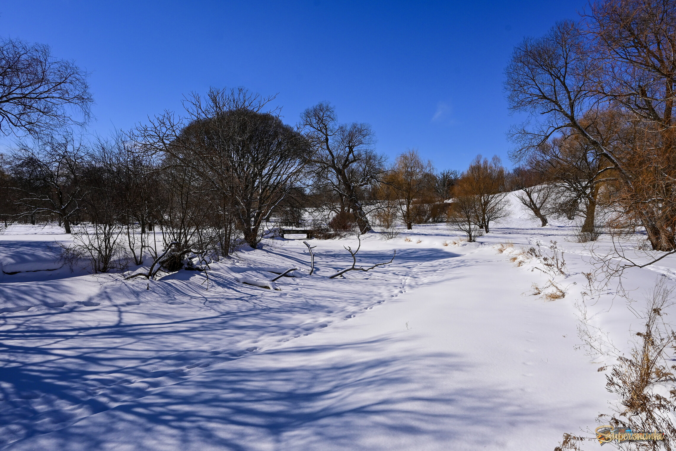 Редкий солнечный денёк