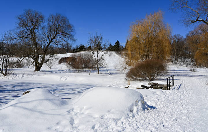 Редкий солнечный денёк