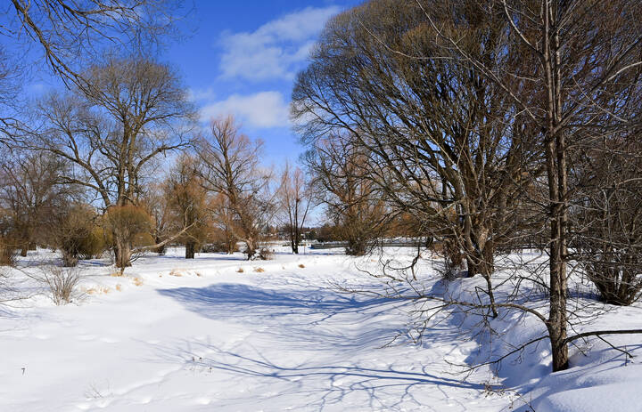 Редкий солнечный денёк