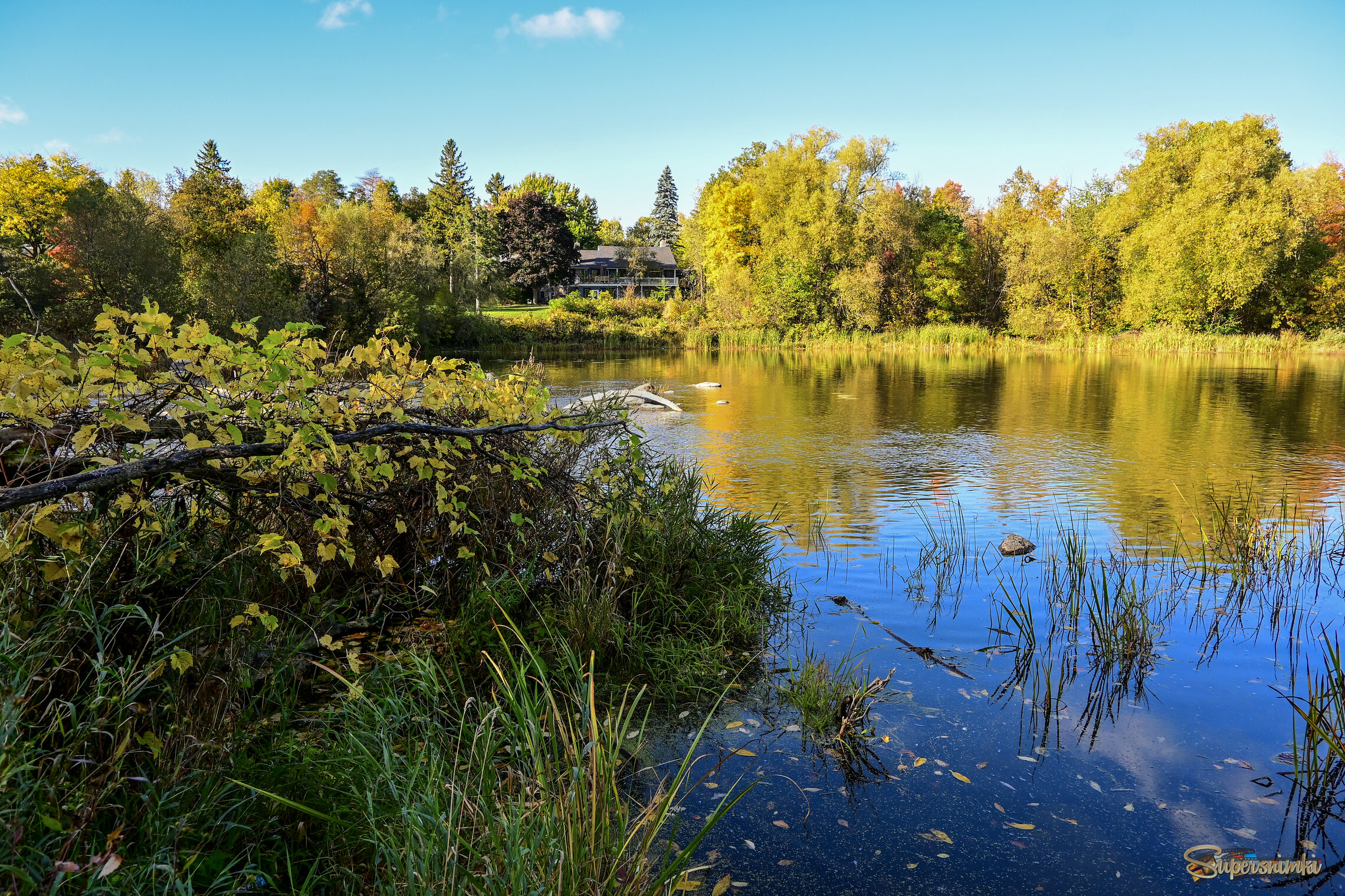 Жизнь на реке