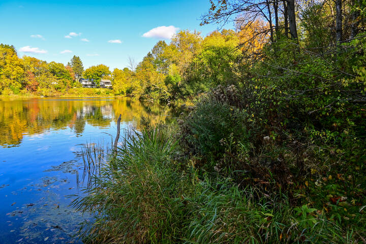 Жизнь на реке