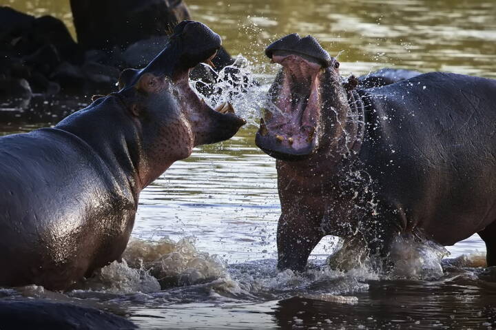 Водный обмен