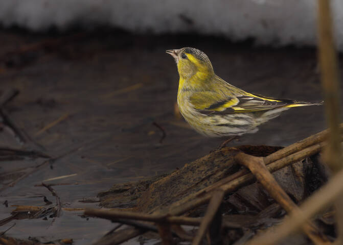 Пить хочется