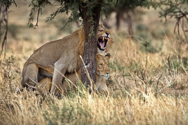 Когда дерево - в помощь!
