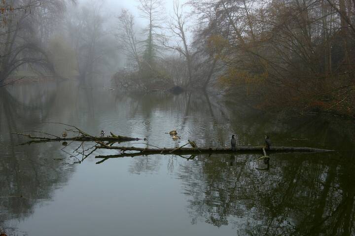 Призрачно все в этом мире бушующем..