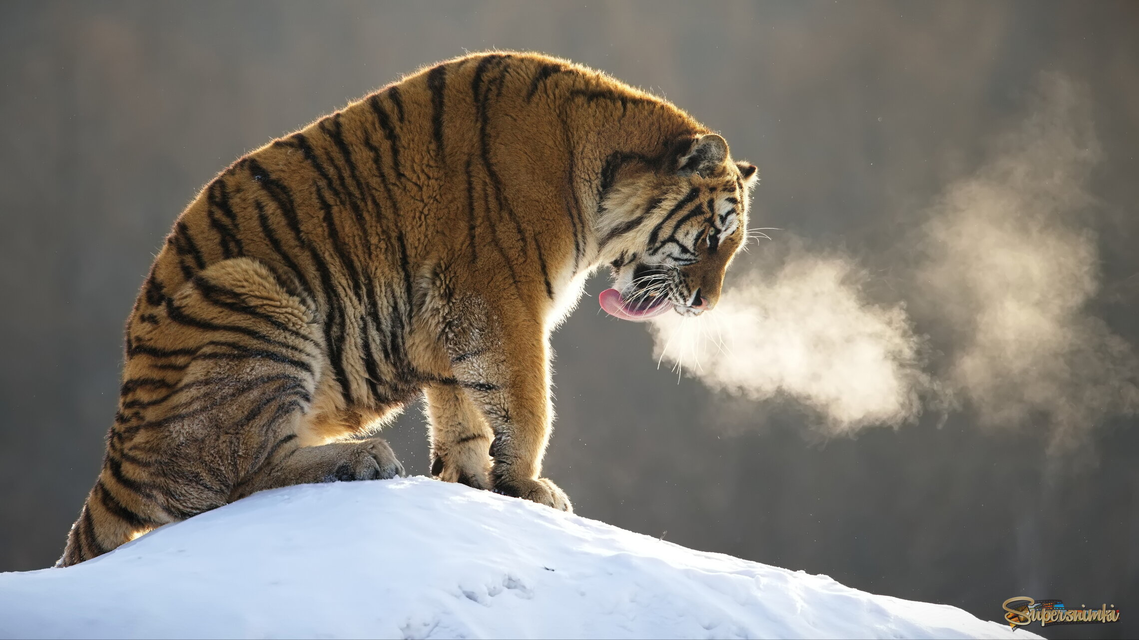 Горячее дыхание