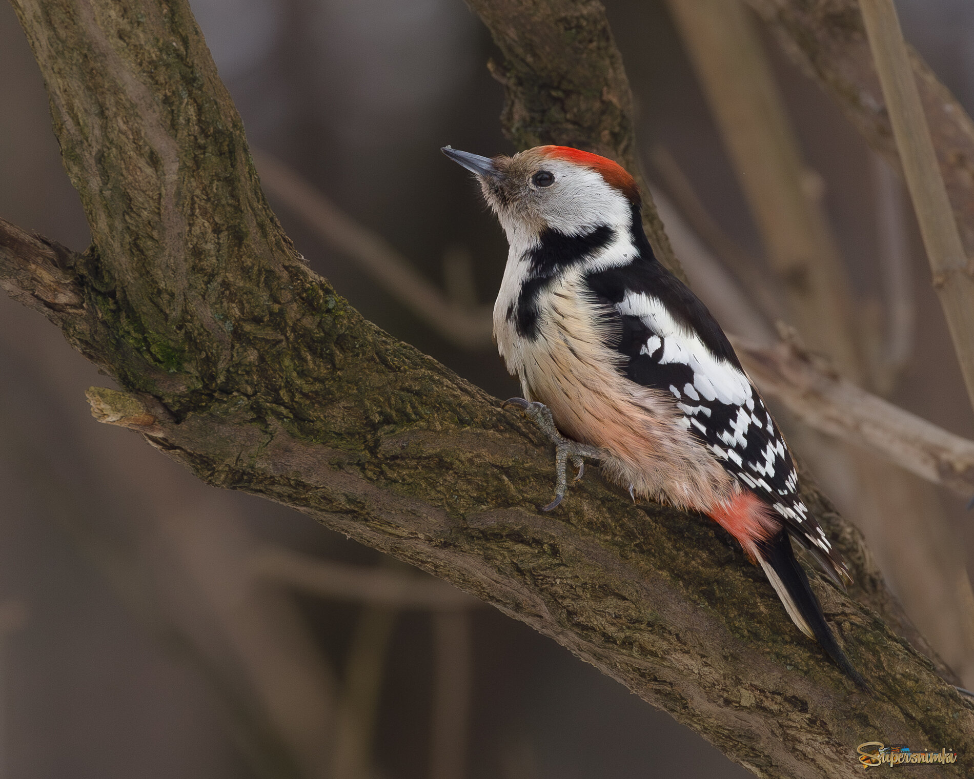 Только проснулась