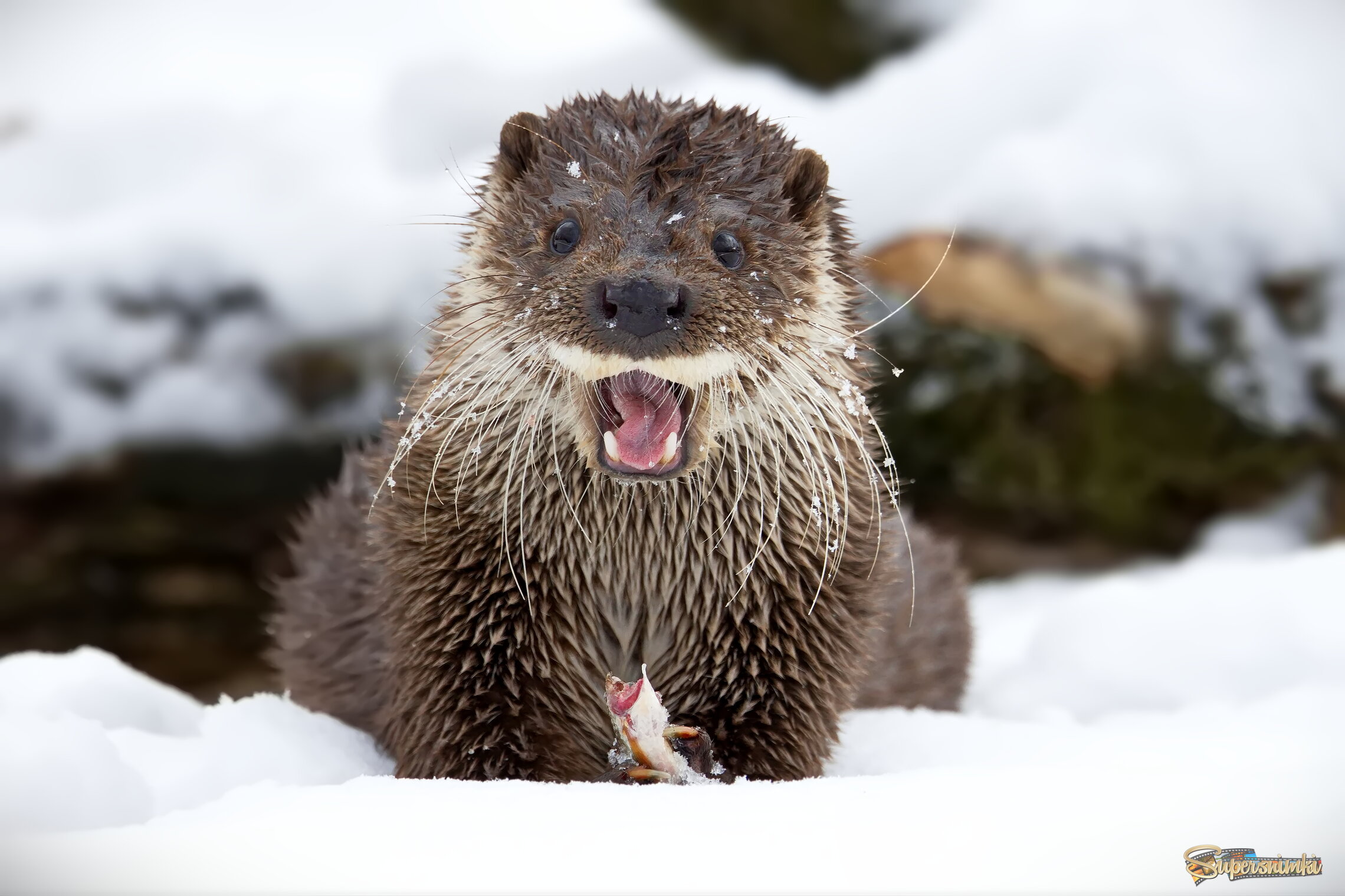 Завидуете!?)