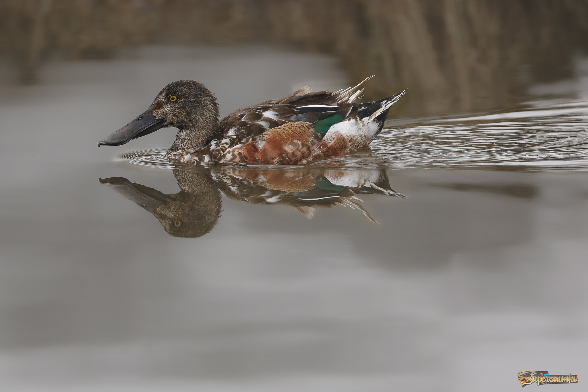 Как в зеркало смотрюсь...