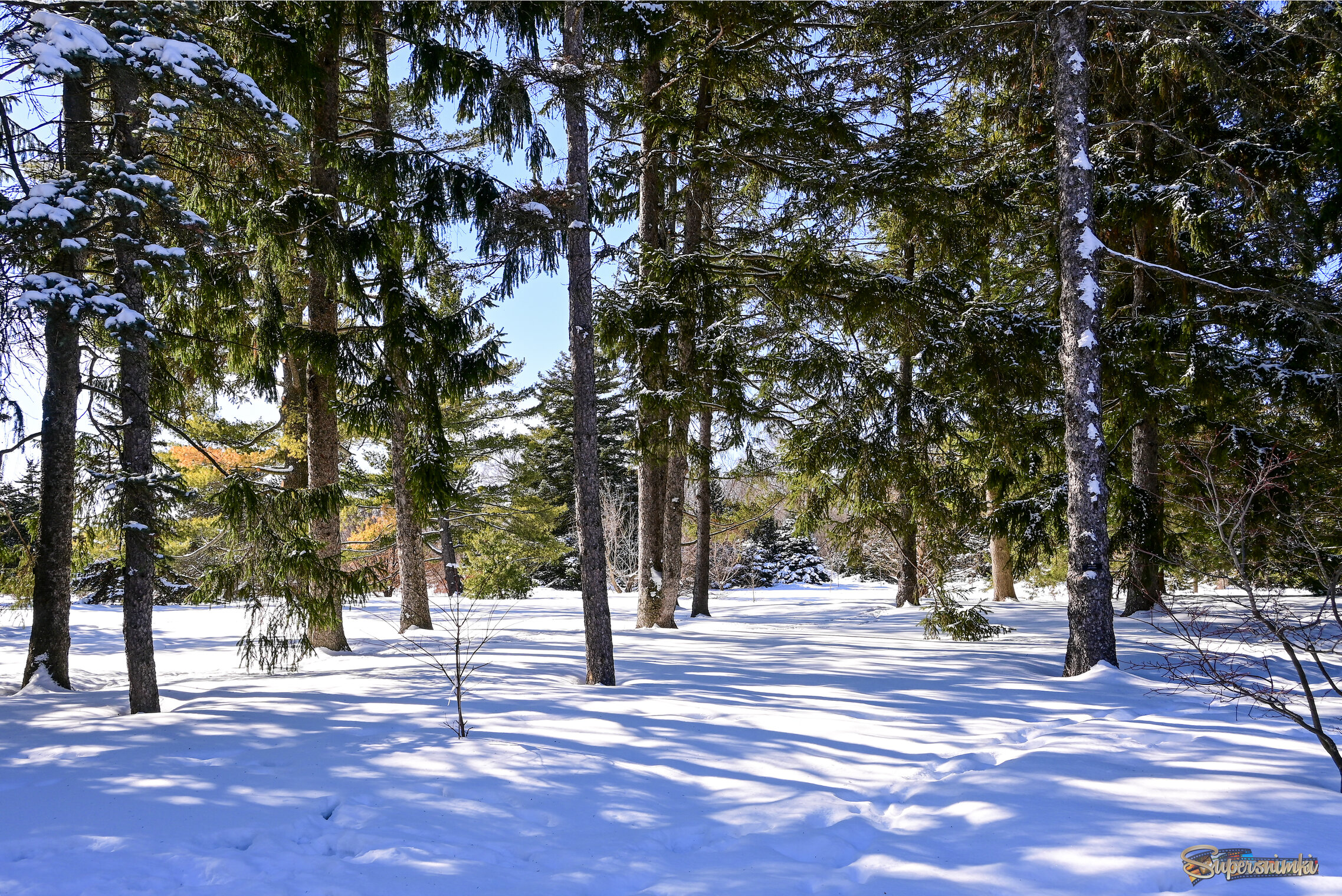 Неподалёку