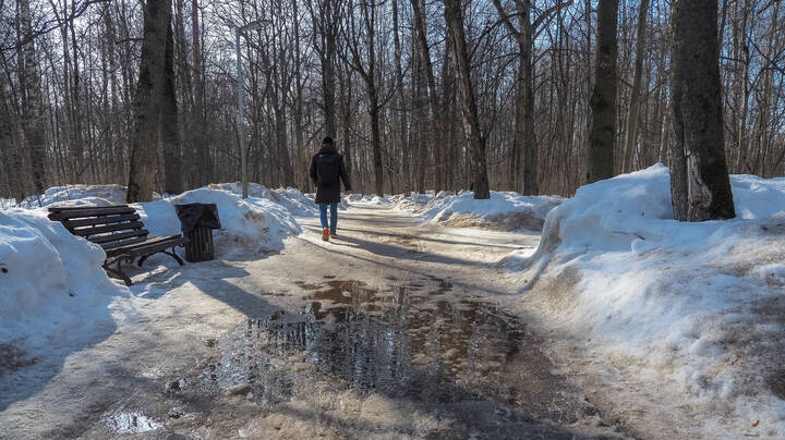 Прогулки в Весеннем Парке