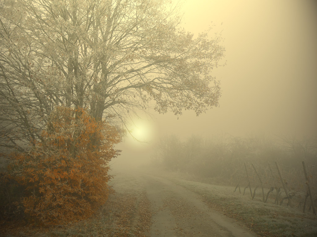 Холодный туман.