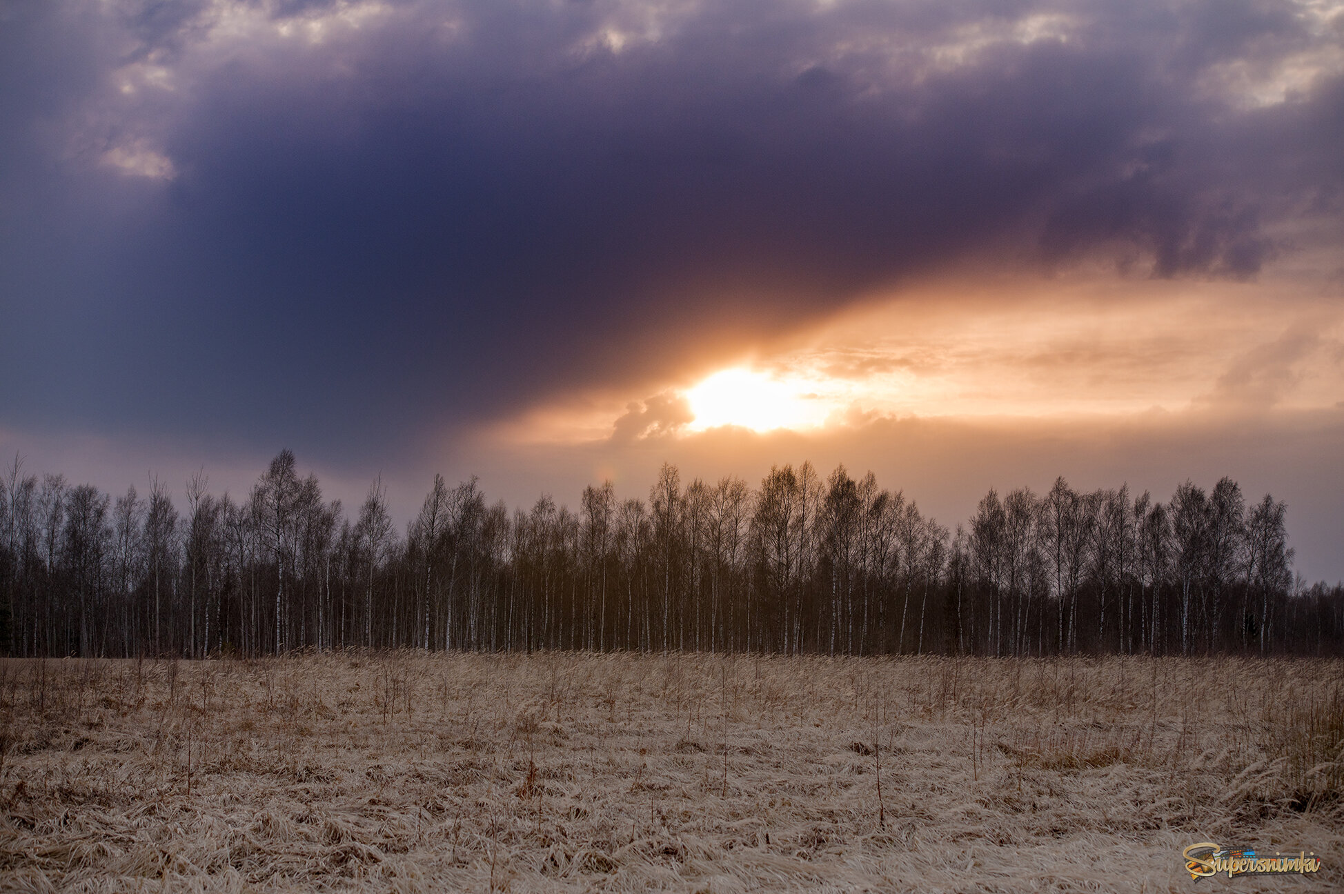 69b6ef553a0f2b87259f5a04