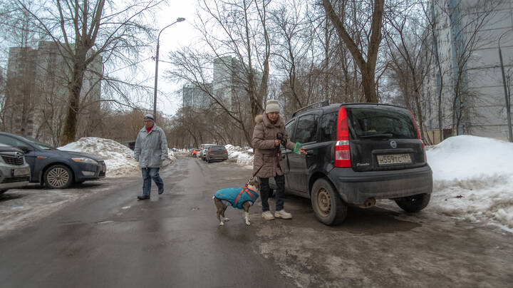 Прошу Садиться