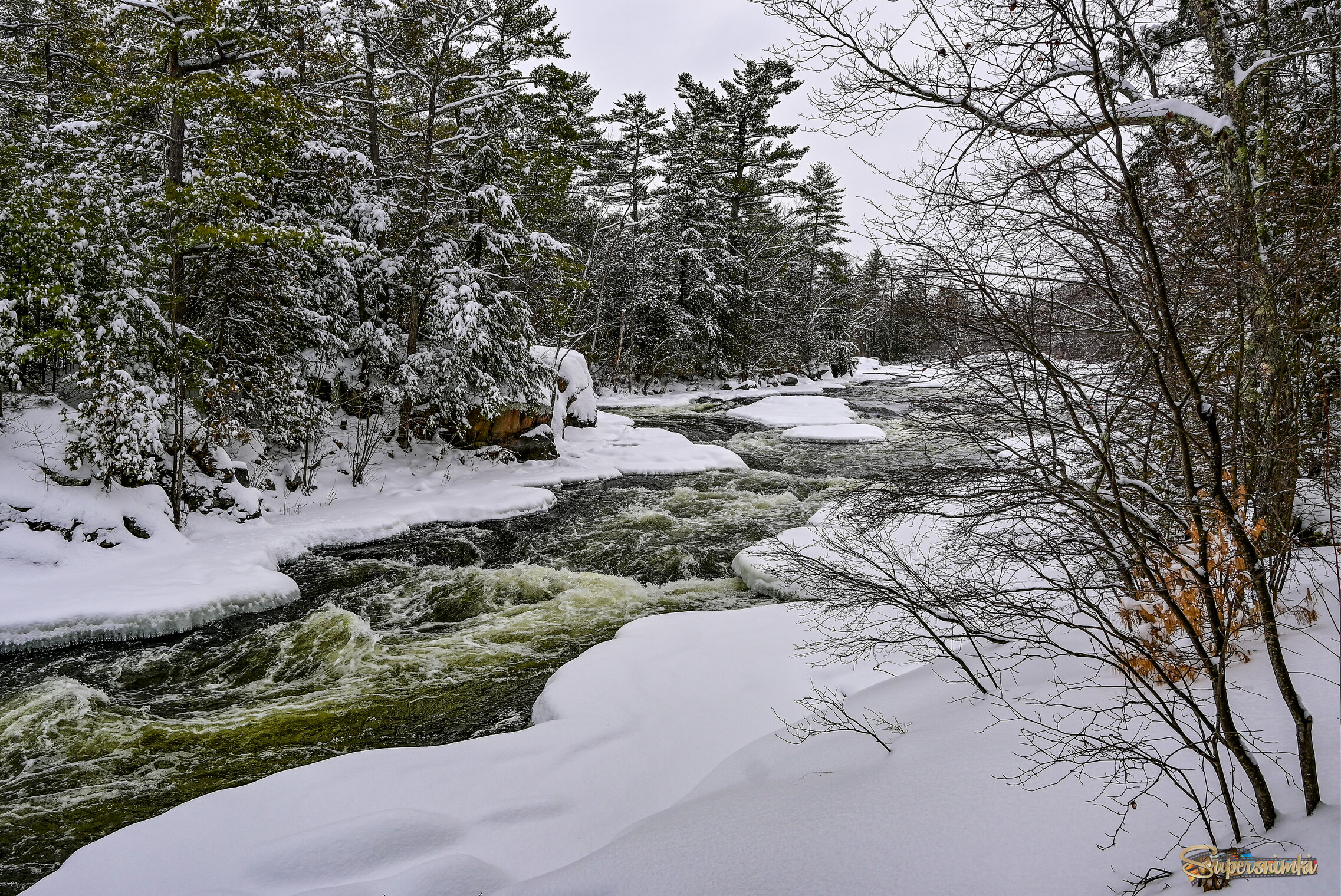 В предвкушении весны