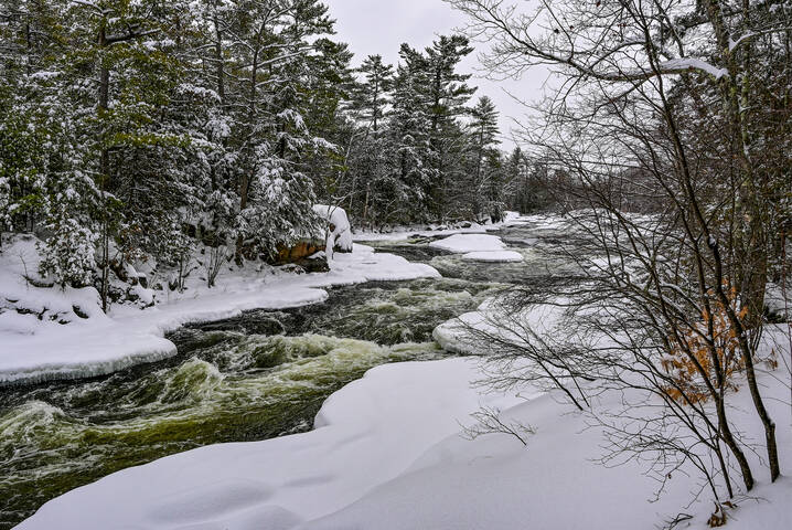 В предвкушении весны