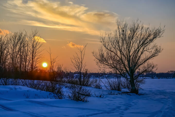 Пока не стаял снег