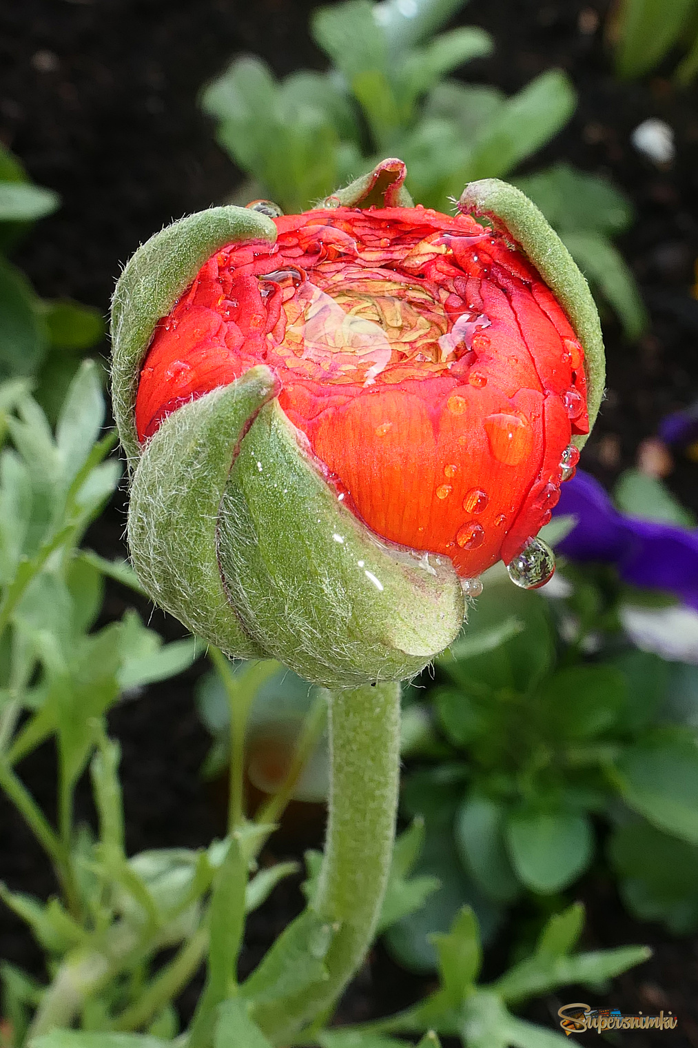 69ba4e9fc655642de09f5a04