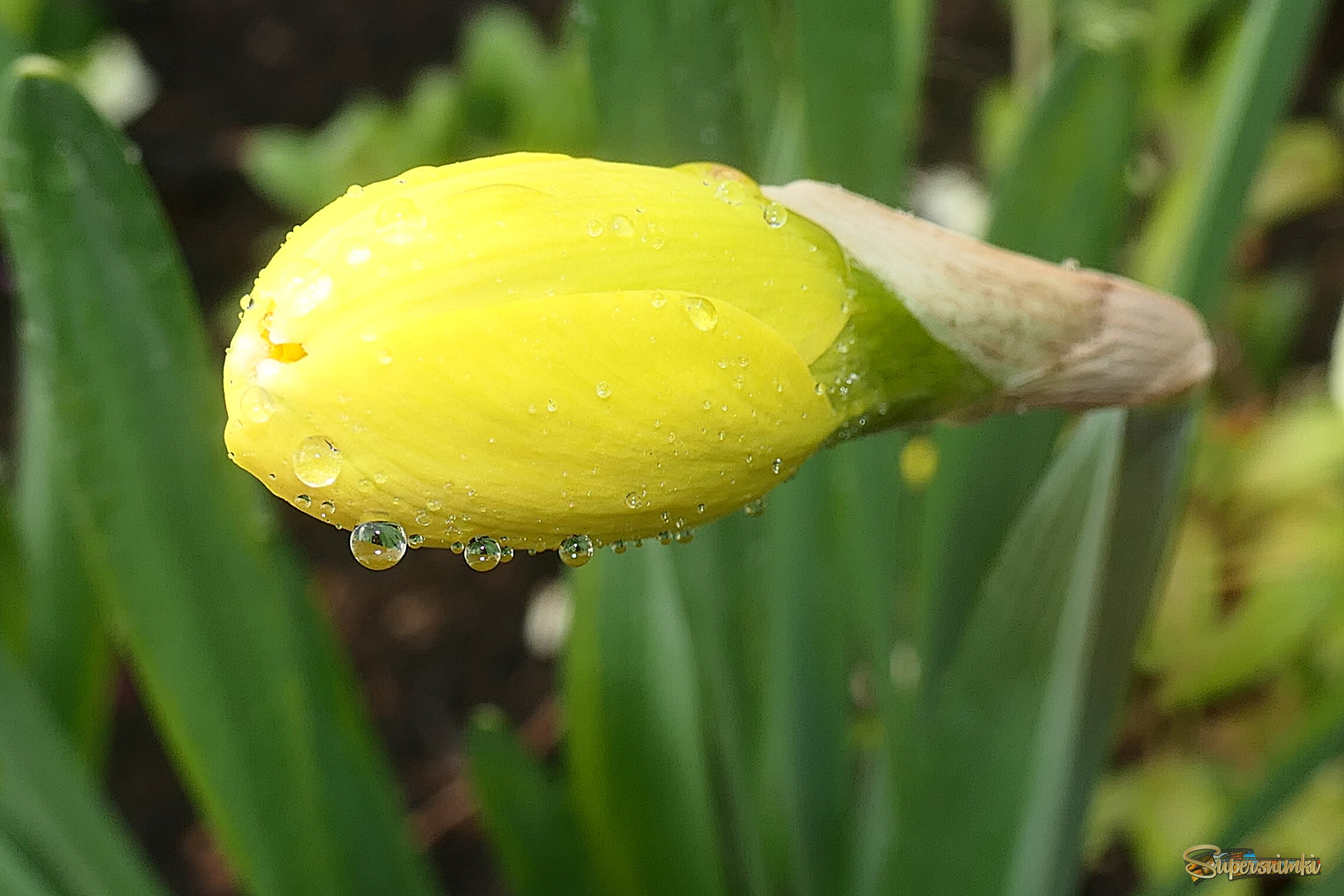 69ba4ede868e7895d29f5a04