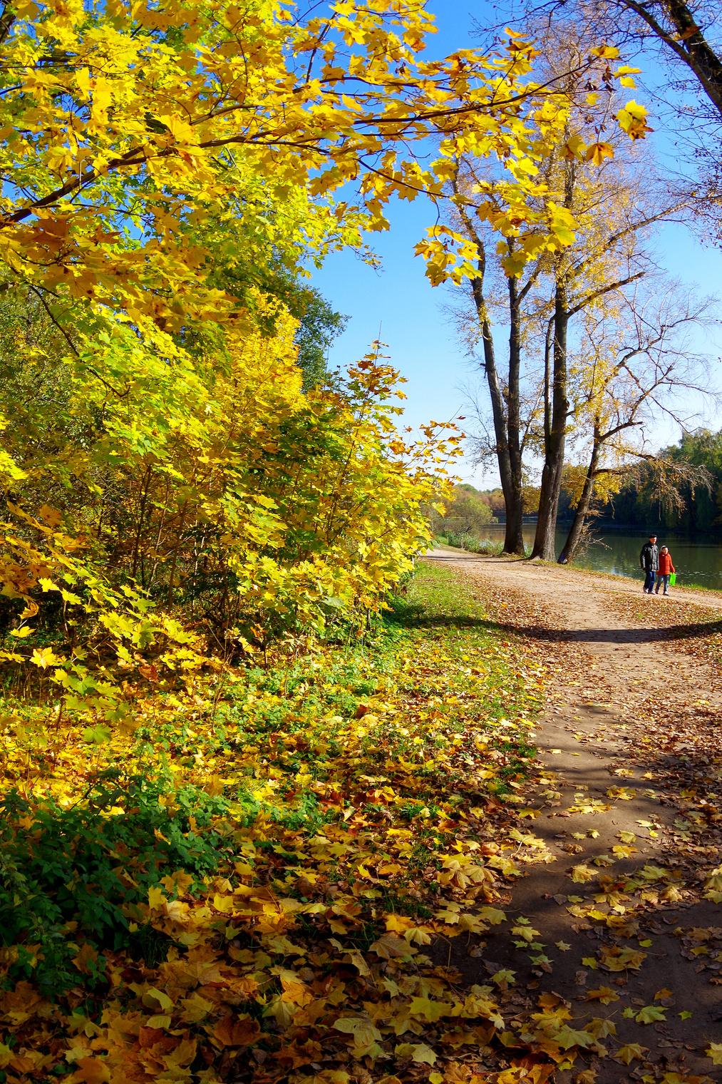 Кузьминский парк
