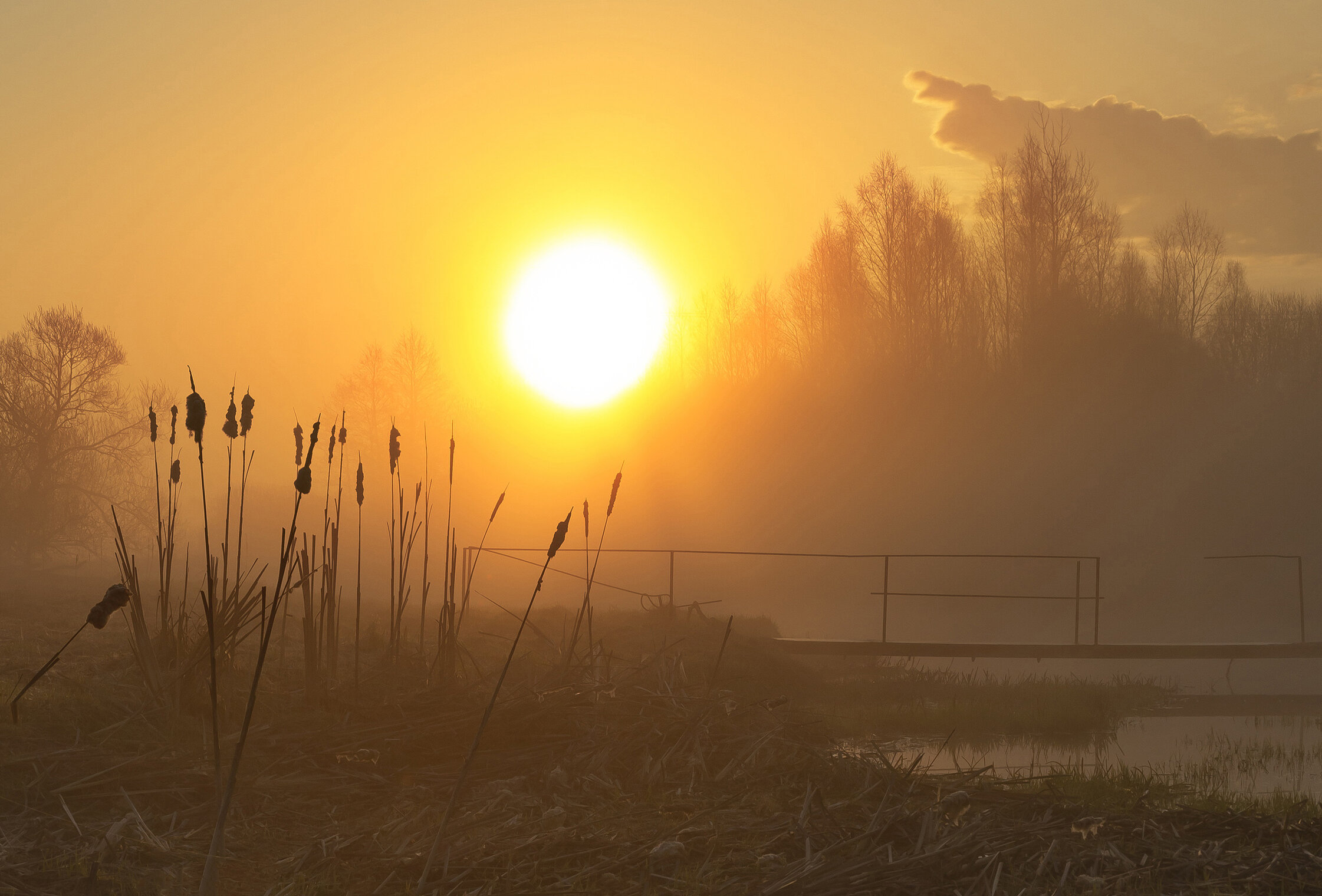 Весенний рассвет
