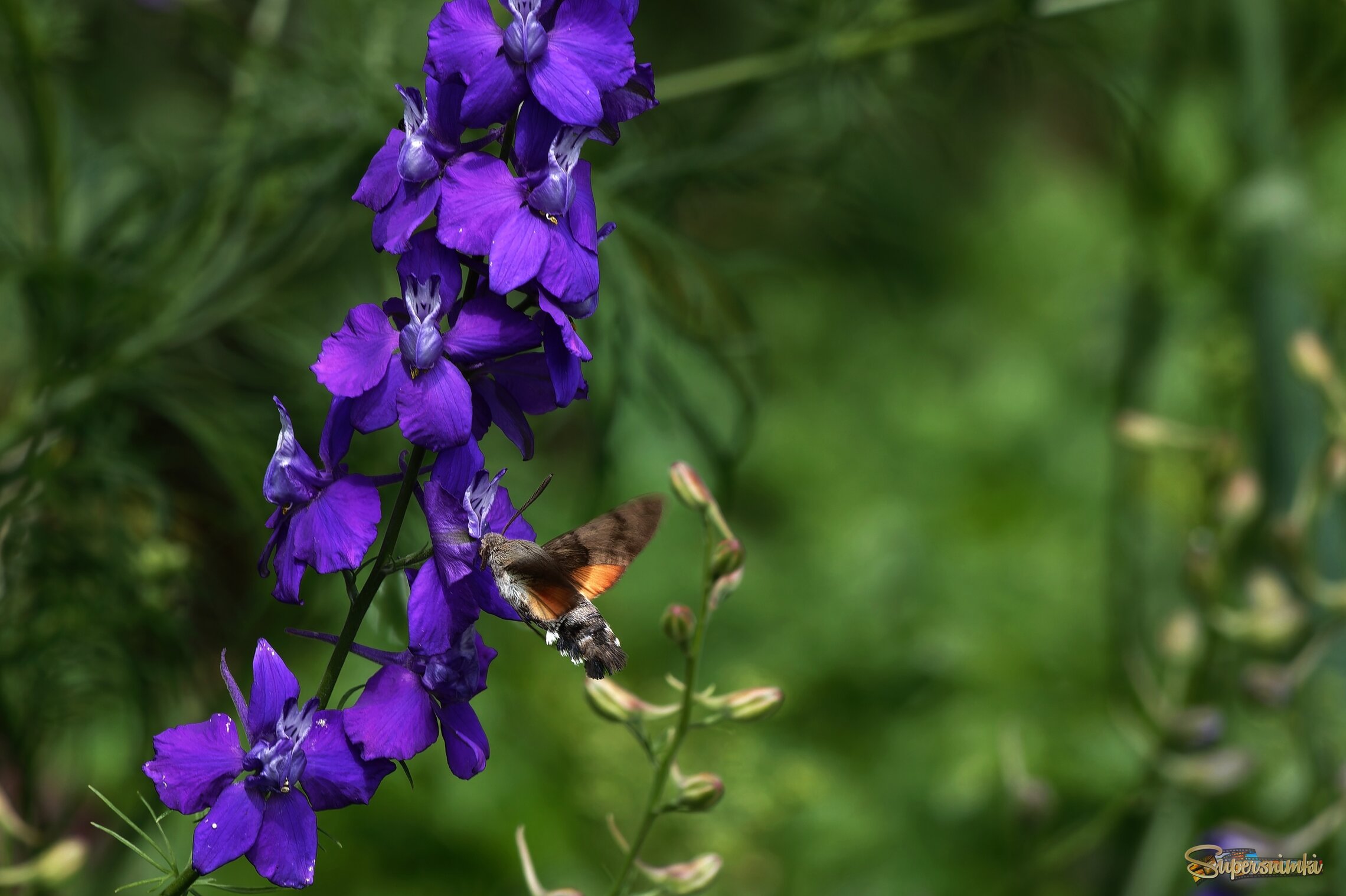 69bd7238d9f6b83f439f5a05