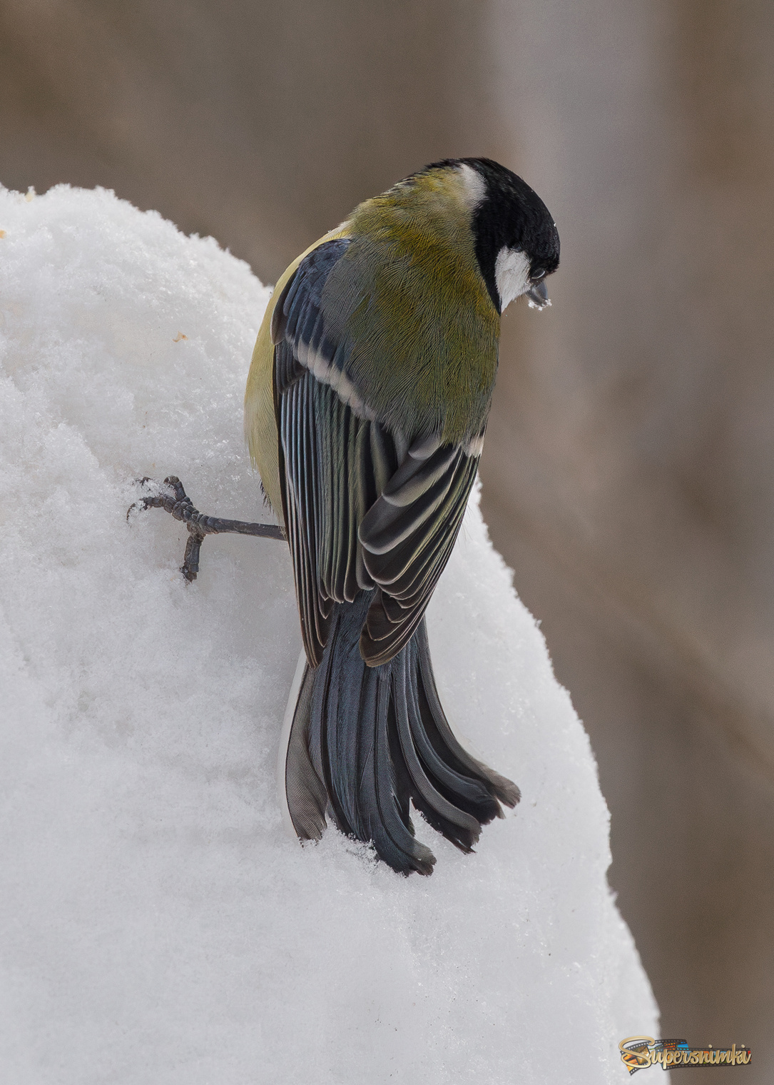 На грани срыва