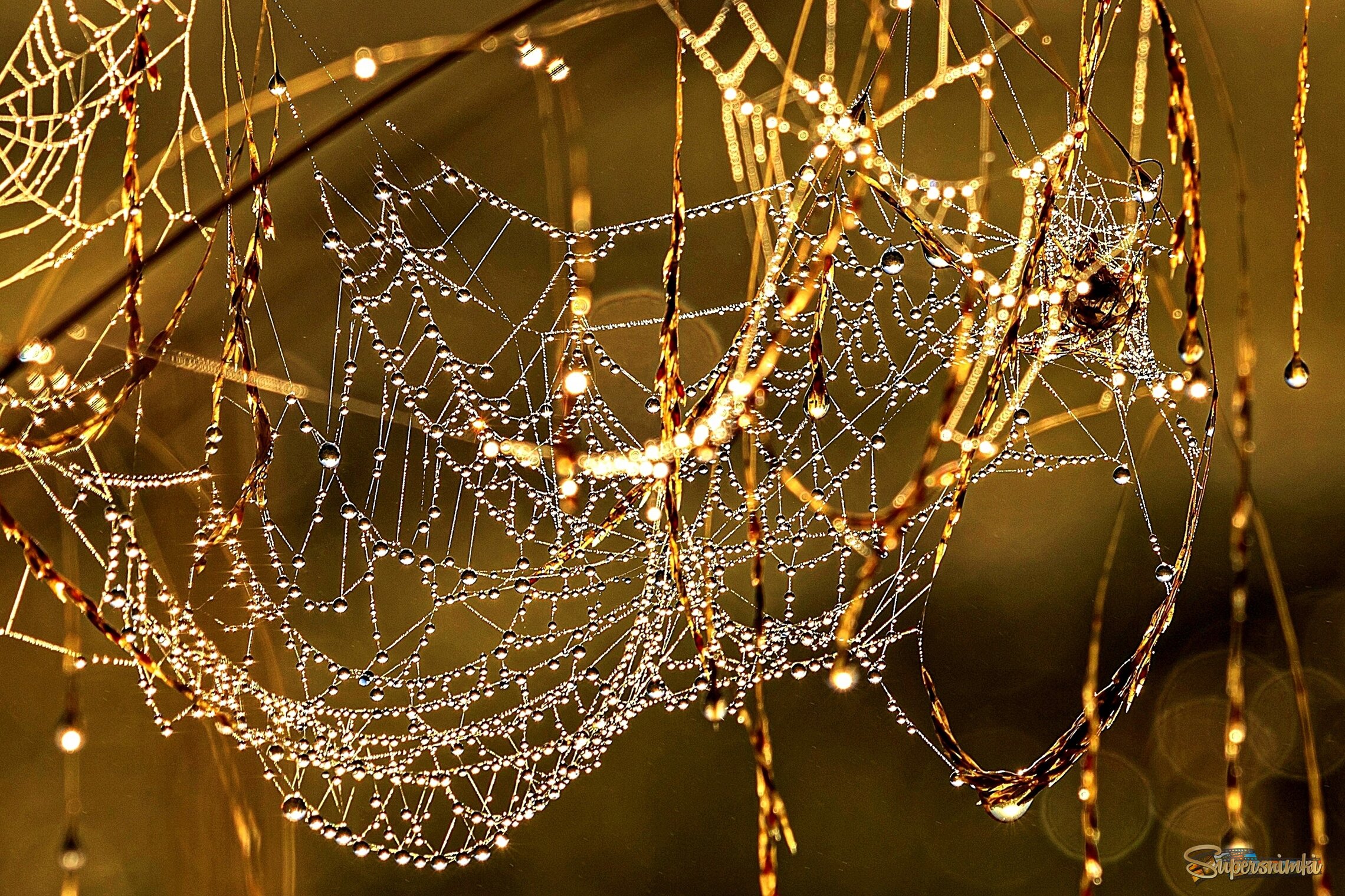 Осенее утро