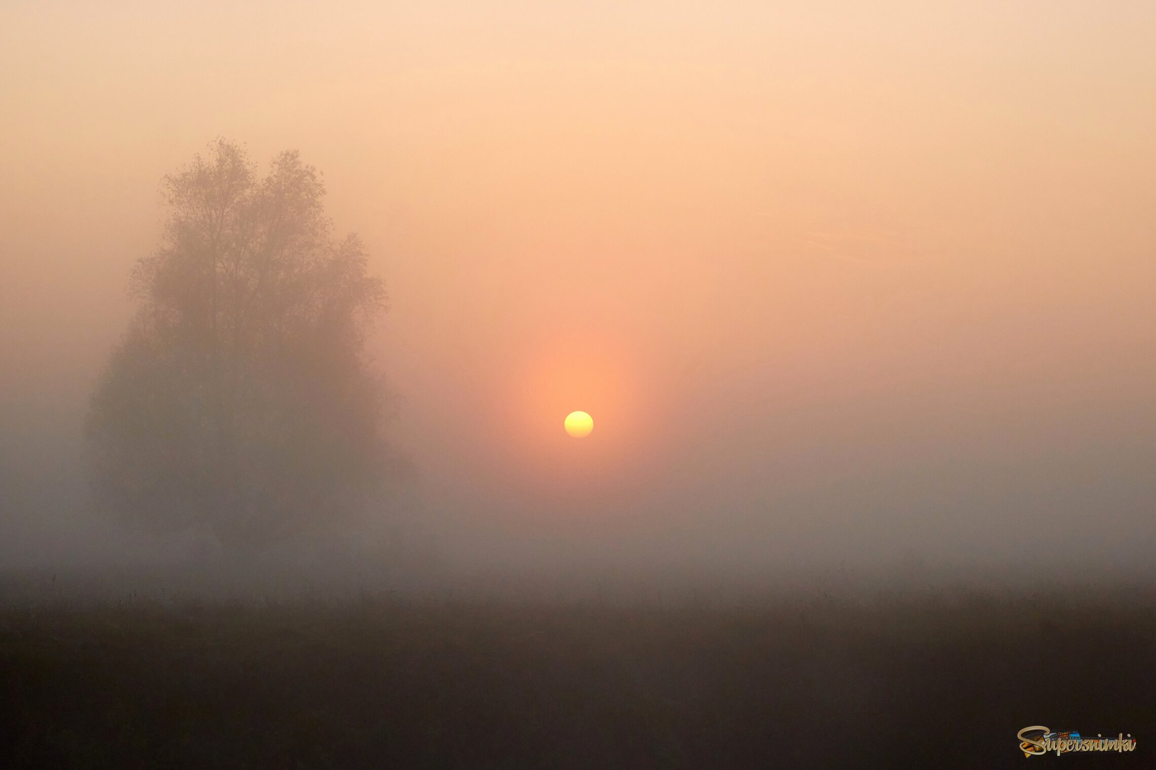 Осенее утро