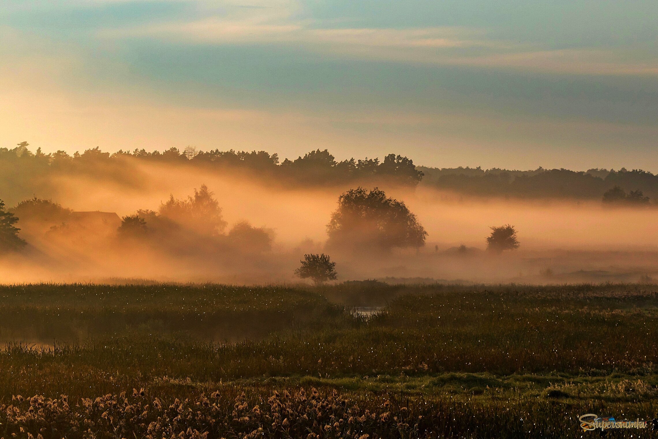 Осенее утро