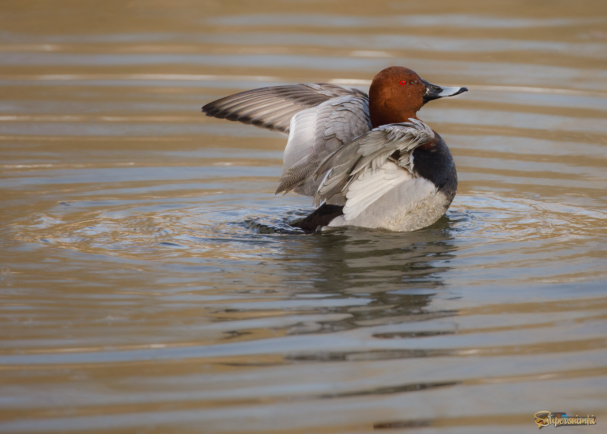 Пора размяться