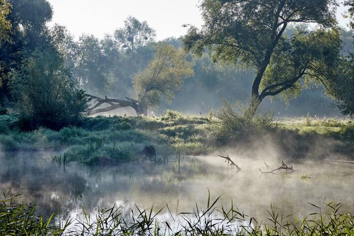 Осенее утро