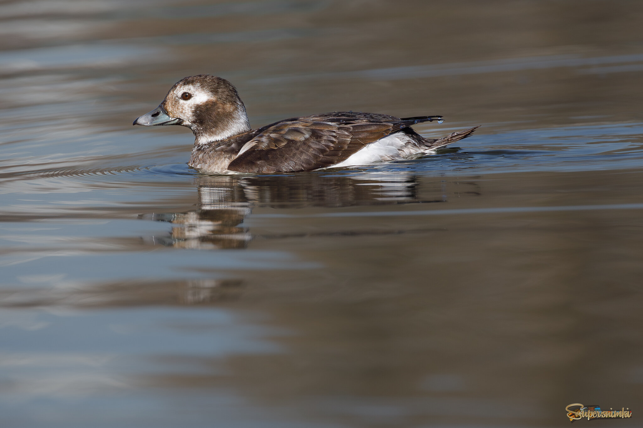 Красота не знает границ