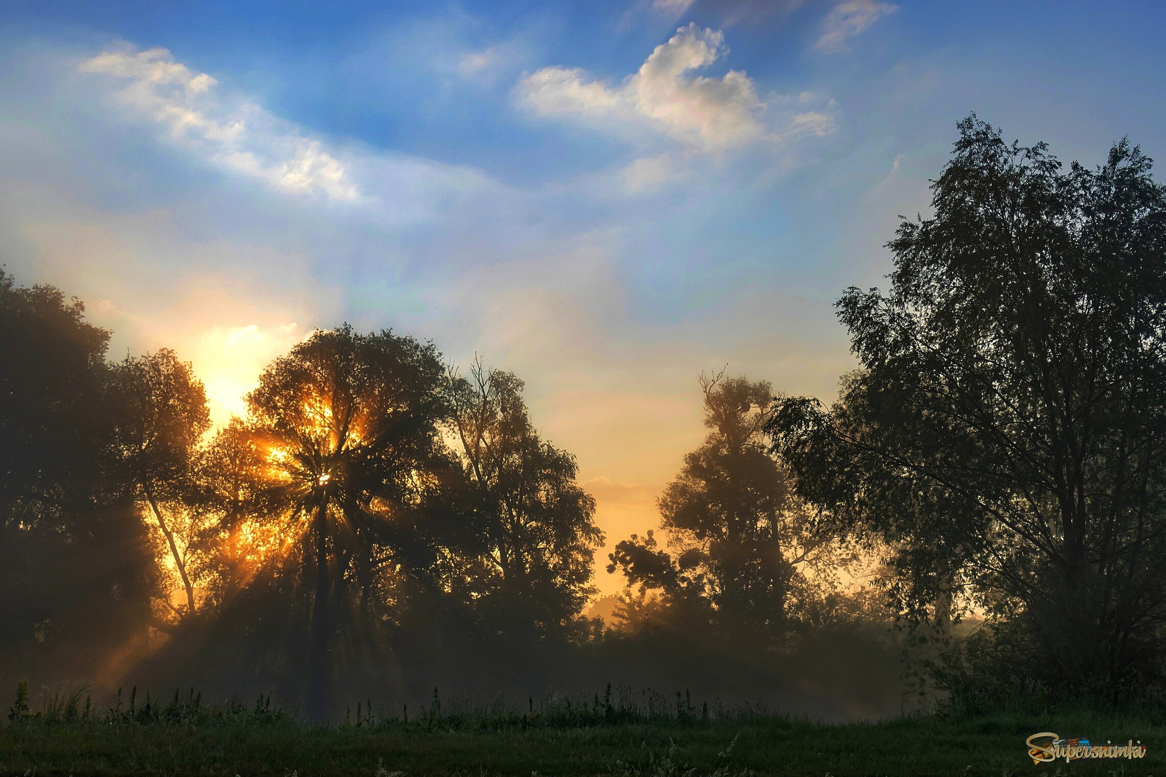 Летнее утро