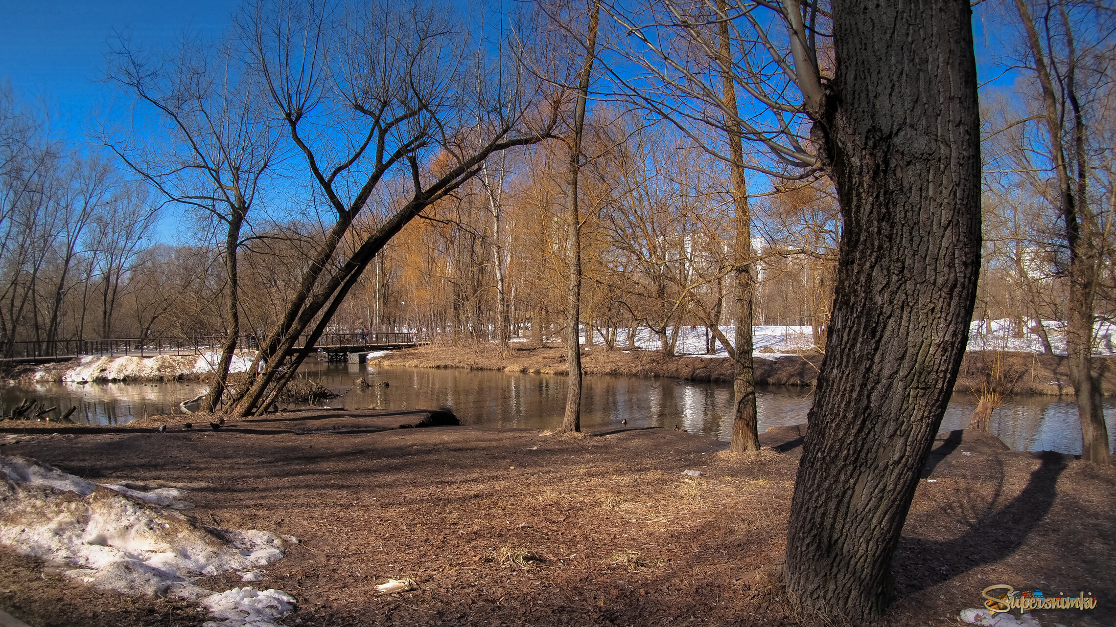 В Весеннем Парке