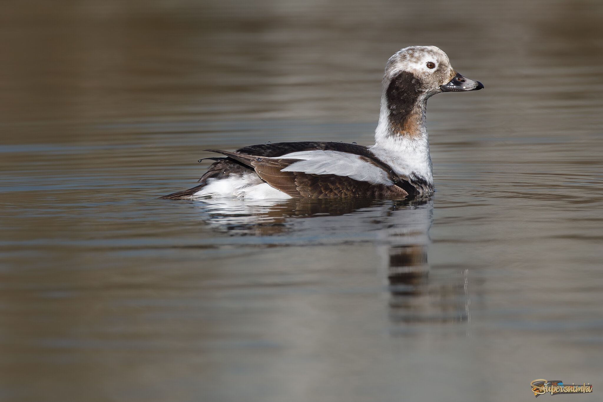 Бдительный парень