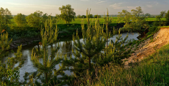 🏞 Кусочек Жиздры, 🌲ранним майским вечером.. 🌞