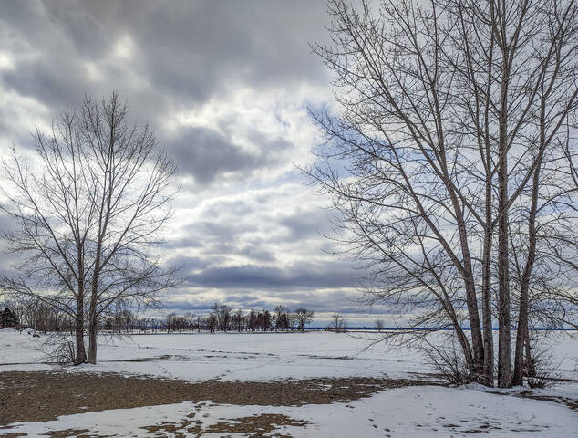 Пока стоят морозы