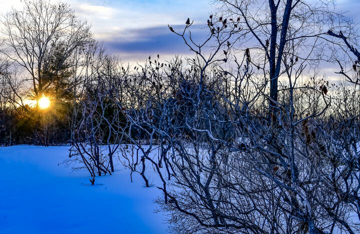 Во сне зимнем 