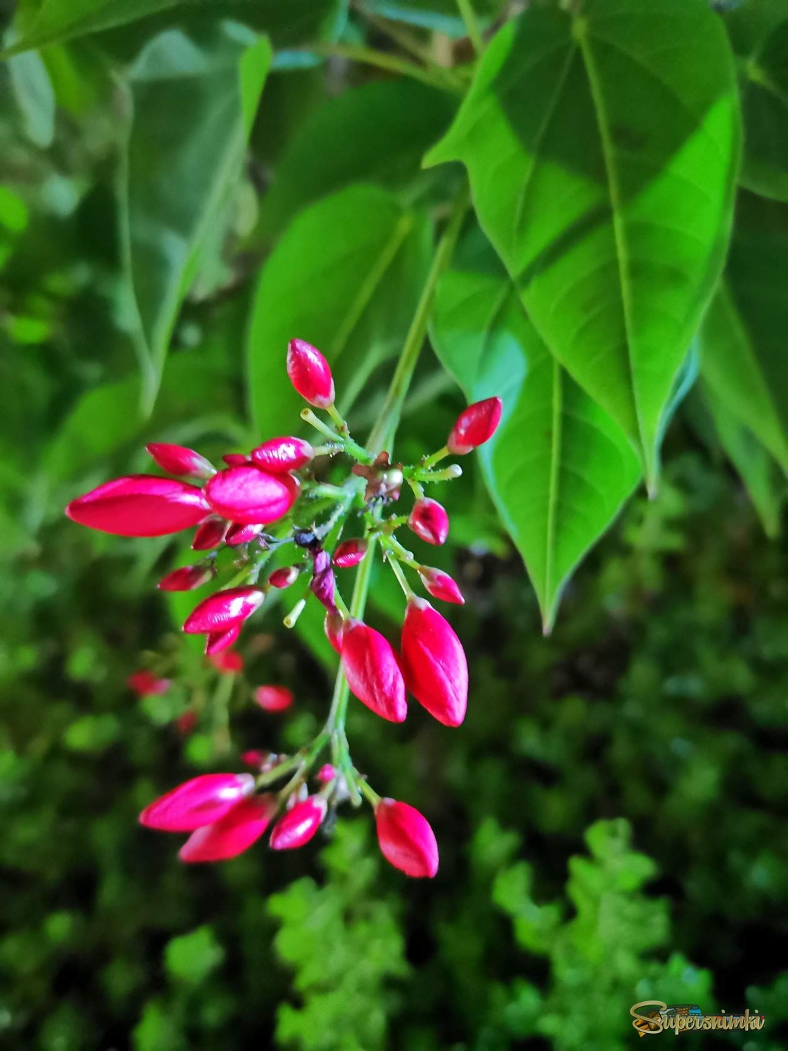 69c96b20ff431389959f5a04