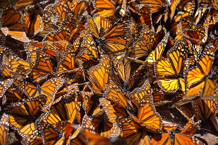 Калейдоскоп