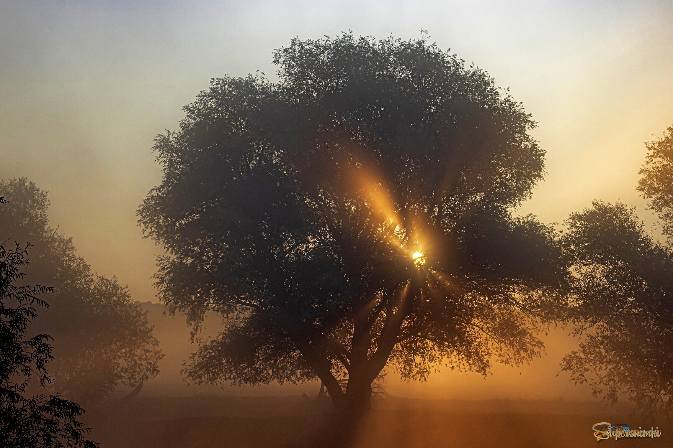 Осеннее утро