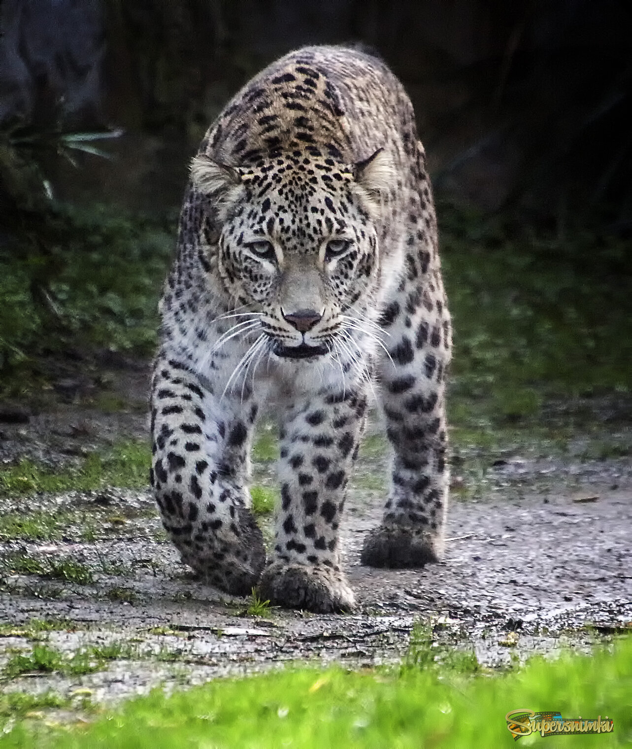 Подожди я уже иду