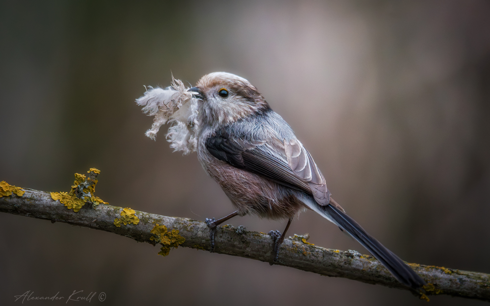 Для уюта и тепла