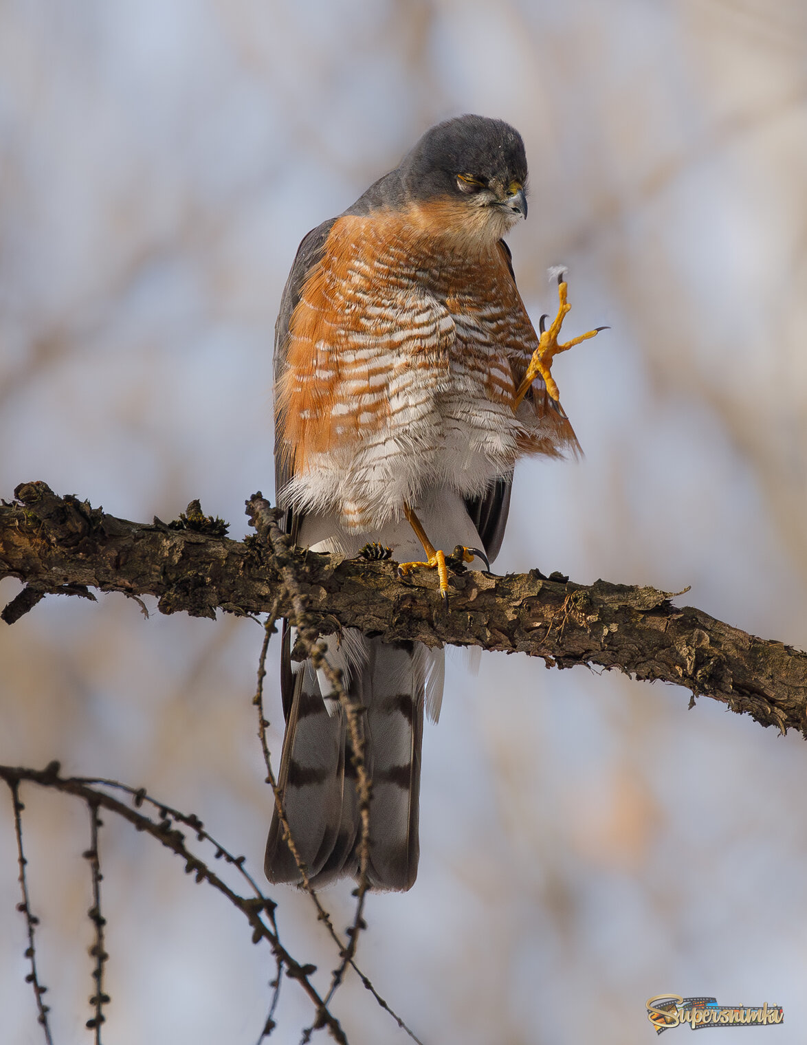 Поковыряв в носу...
